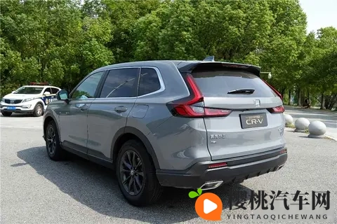 中国老太体内 精ggggg:神秘“精”能量:老太长寿之谜引关注-3