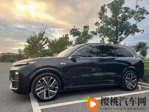 理想降价狂欢下,我摸了摸开了两个月的L8,有些真相不吐不快-3