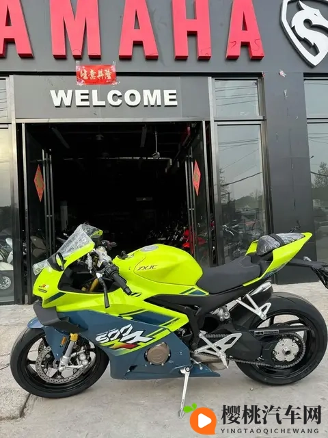 从工程师到品牌IP,张雪机车逆袭成国产摩托新变量-3