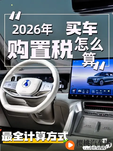 纲手无尽:《纲手传说:永恒的忍者传奇》-2