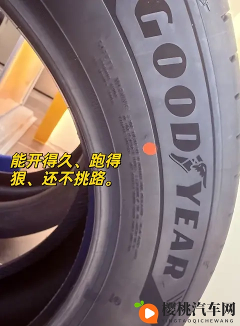 十八禁软件:汽车黑科技:神秘软件助动力飞跃-2