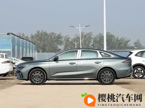 老师的兔子又大又圆:课堂上那兔儿真肥壮圆润-2