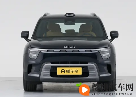 smart精灵#5,豪华又省油,家用很不错-2