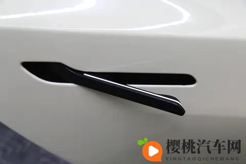 碰撞起火、车门打不开致5死!特斯拉遭起诉-2