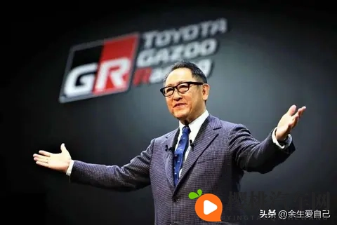 丰田大本营，被一辆比亚迪“海獭”惊醒了-2