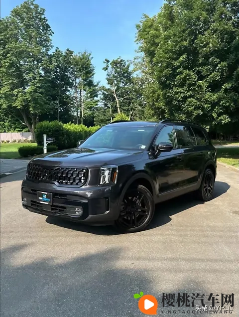 起亚Telluride:一场针对北美市场的“精致投机”-2