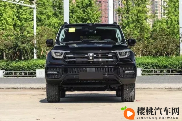 九九亚洲：电动新势力崛起，500公里续航车型来袭-1