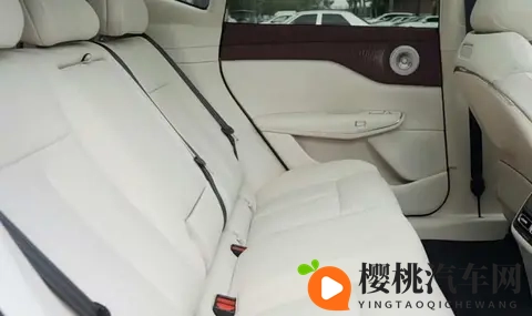 亚洲女人 黑人 乱种族:多元驾驶文化,和谐车载环境揭秘-1