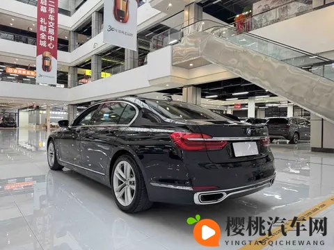 午夜商店成人app：新能源汽车崛起，绿色变革市场新风口-2