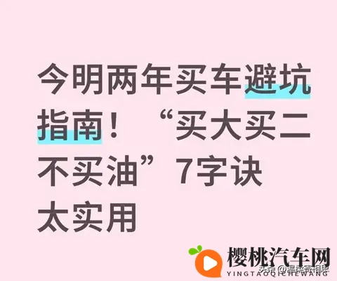 今明两年买车避坑指南！“买大买二不买油”7字诀太实用-1