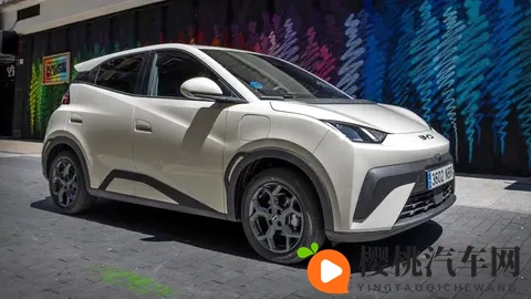 10月西班牙电动汽车销量:比亚迪首次登顶,海鸥847辆销量成销冠-2