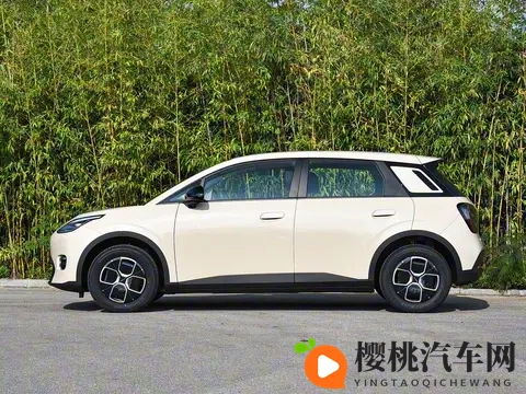 亲民版“海豚”上市！租电售价499万，续航达500Km，还支持换电-1