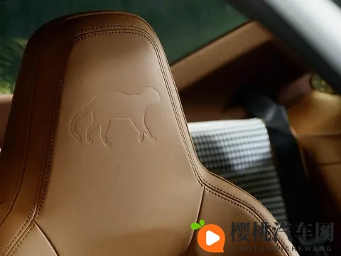 保时捷911 GT3 Touring Ocelot官图发布:全球限量1台-2