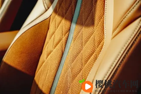 Nappa真皮普及背后：车企宣传的“文字游戏”该停了-3