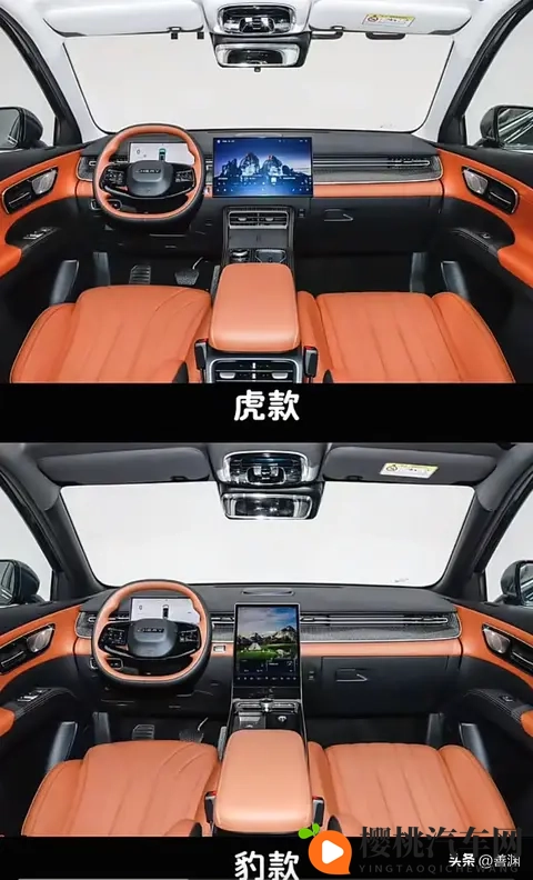 瑞虎8 豹款和虎款区别-2