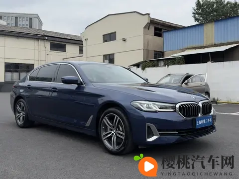 22款宝马5系:85万公里,蓝色530Li,22万拿下!-2