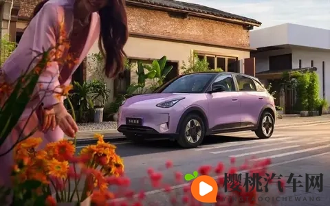 智能座舱+L2智驾，续航超600公里 10万内纯电买小车就选它-3