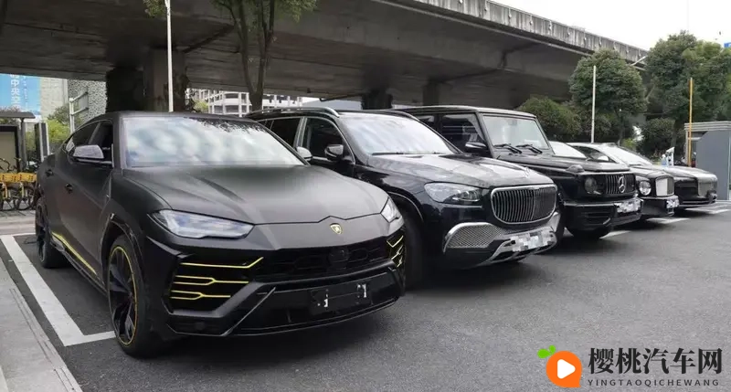 从品牌崇拜到技术认同：岚图泰山如何撬动顶级豪车用户？-1