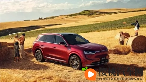 问界2025，前十月销量分析报告，-1