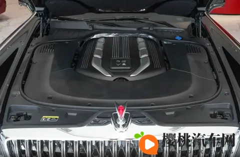 真国产豪华，这车也有钱未必能买到，气场比“劳斯”还强-2