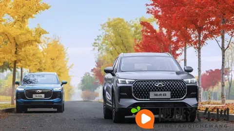 五代瑞虎8上市，929万起，升级16T还吃粗粮-1