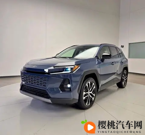 威兰达选购指南:这3个版本别买,内行人只选它!-3