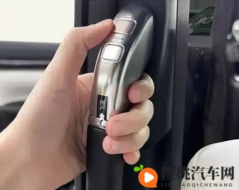 内门把手争议:特斯拉Model S起火车门无法打开,事故致五人死亡-2