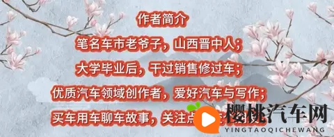 搞基软件恶心:汽车软件故障频发,车主行车安全引担忧-3