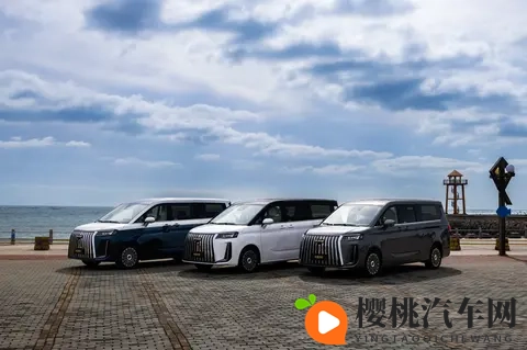 天天拍天天操：每日摄影，持续锻炼身心-1