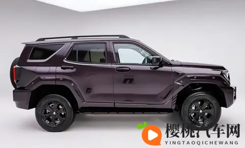 2498万起售 全新坦克400携全动力科技矩阵登陆硬派SUV市场-2