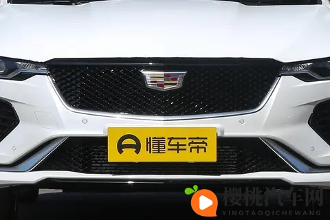 人与性动交zzzzBBBB：人类探索性行为的秘密-1