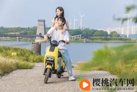 南京1月1日起小蓝牌电动车禁行，换牌还是换车？攻略请藏好-1