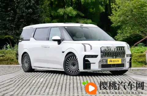 800V快充+双腔空悬+CCD減振,极氪009七座过道版可商可家超实用-1