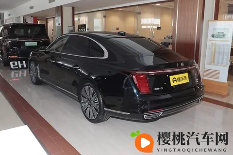 红旗H9选购指南 20T VS 30T谁更值得入手？配置差异分析+推荐选购-2