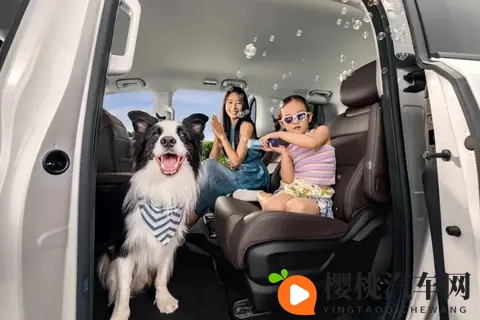 10万级MPV推荐，真7座+电滑门，动力配置多选，家用很合适-2