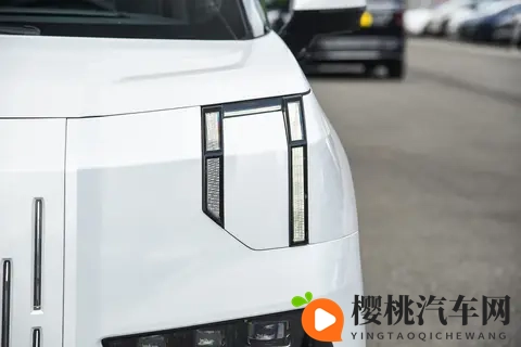 买MPV看准极氪009！旗舰权益+宜商宜家实力，精英家庭闭眼入-2