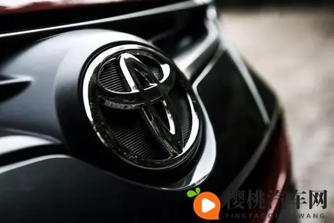 日本满街都是丰田车,为何中国才是全球汽车的未来?-3