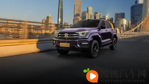 2498万元起,全新坦克400多动力齐发-3