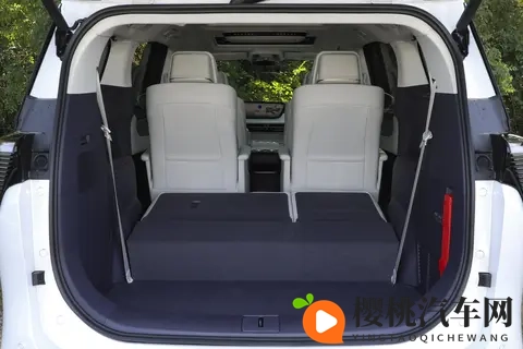 艳女TV：新能源新宠来袭，豪车、小车型全解析-2