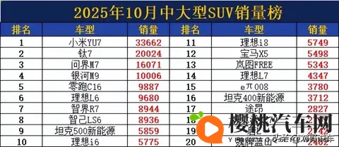 中大型SUV洗牌! 10月销量: 理想L6无缘前5, 宝马X5跌出前10, 豹8第34-2