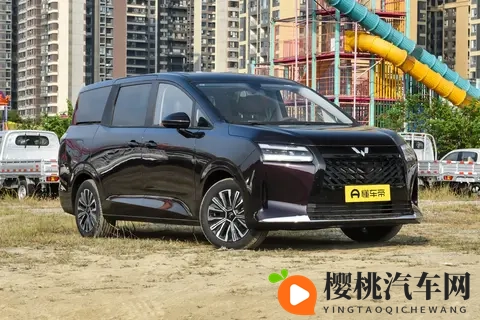 8 万内 7 座家用车:驾乘舒适还安全,值得选吗?-3