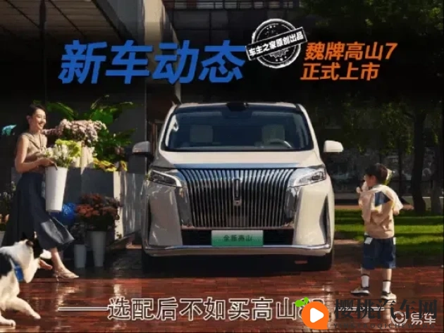 呦呦乱伦：未来汽车动力革新，绿色科技引领潮流-3