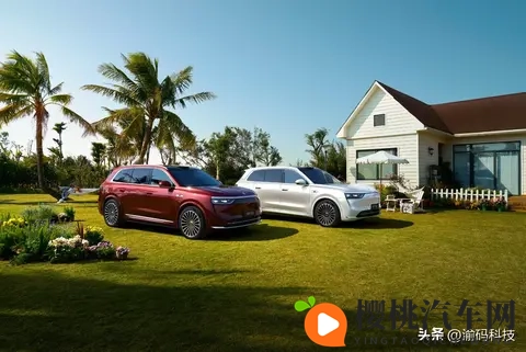 重磅!新能源车“免税时代”即将结束,2026年起购置税减半征收-2