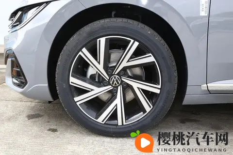 火爆社区向日葵：社区盛景绽放，向日葵花海璀璨-3