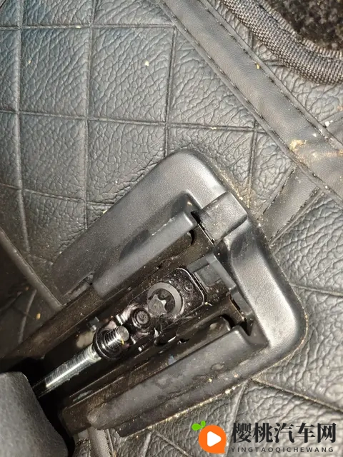 牛鞭伸入人下身的真视:惊悚揭秘:揭秘私密部位遭侵犯真相-2