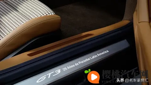 保时捷推出全新Sonderwunsch定制版911 GT3 “豹猫”-2