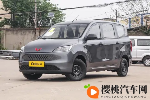 新车 售548万元起,全新五菱宏光燃油版上市,15升动力_可选7座-2