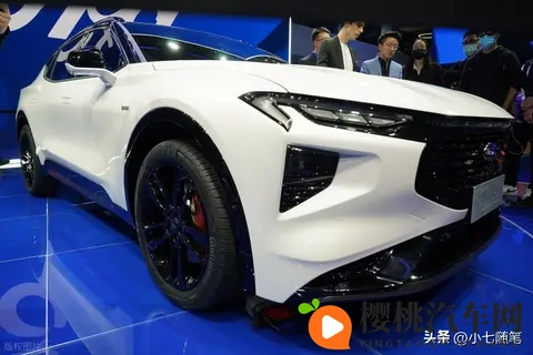 这么漂亮的车,在中国打不开市场,可惜了-3