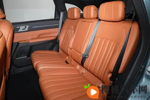 10万级7座SUV安全能有多狠?硬核测试加持,还能兼顾舒适与空间!-1