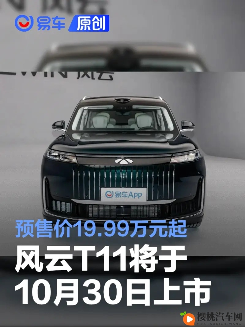 艳星juliaann黑人:汽车广告新潮流,黑人文化成焦点-1